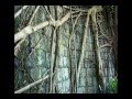 Black Uhuru - Botanical Roots (DUB MIX)
