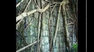 Black Uhuru - Botanical Roots (DUB MIX) - YouTube