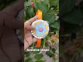 #rakshabandhanspeacial #diy