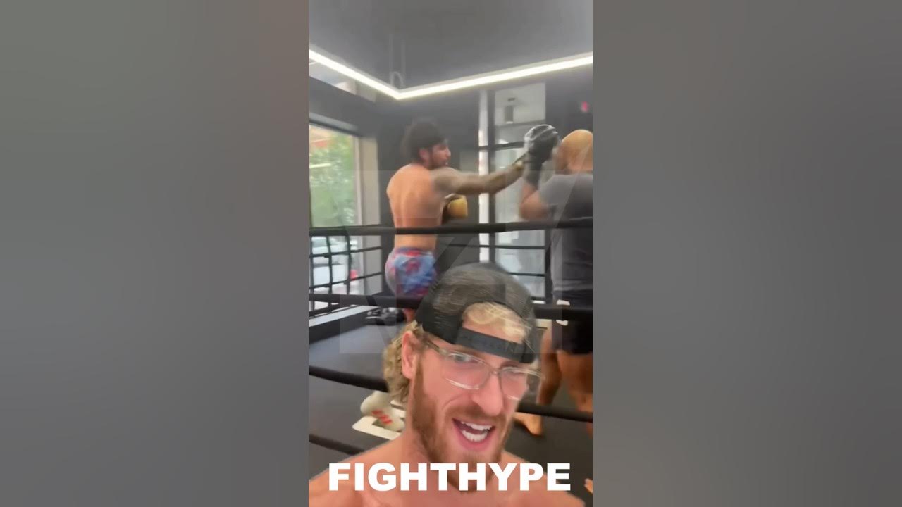 LOGAN PAUL REVIEWS DILLON DANIS SPARRING LEAK & TEACHES HIM PROPER “GUNSHOT” KO TECHNIQUE YouTube