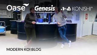 Modern Koi Blog #5783 - Sandra explains the possibilities of resuscitation of Koi