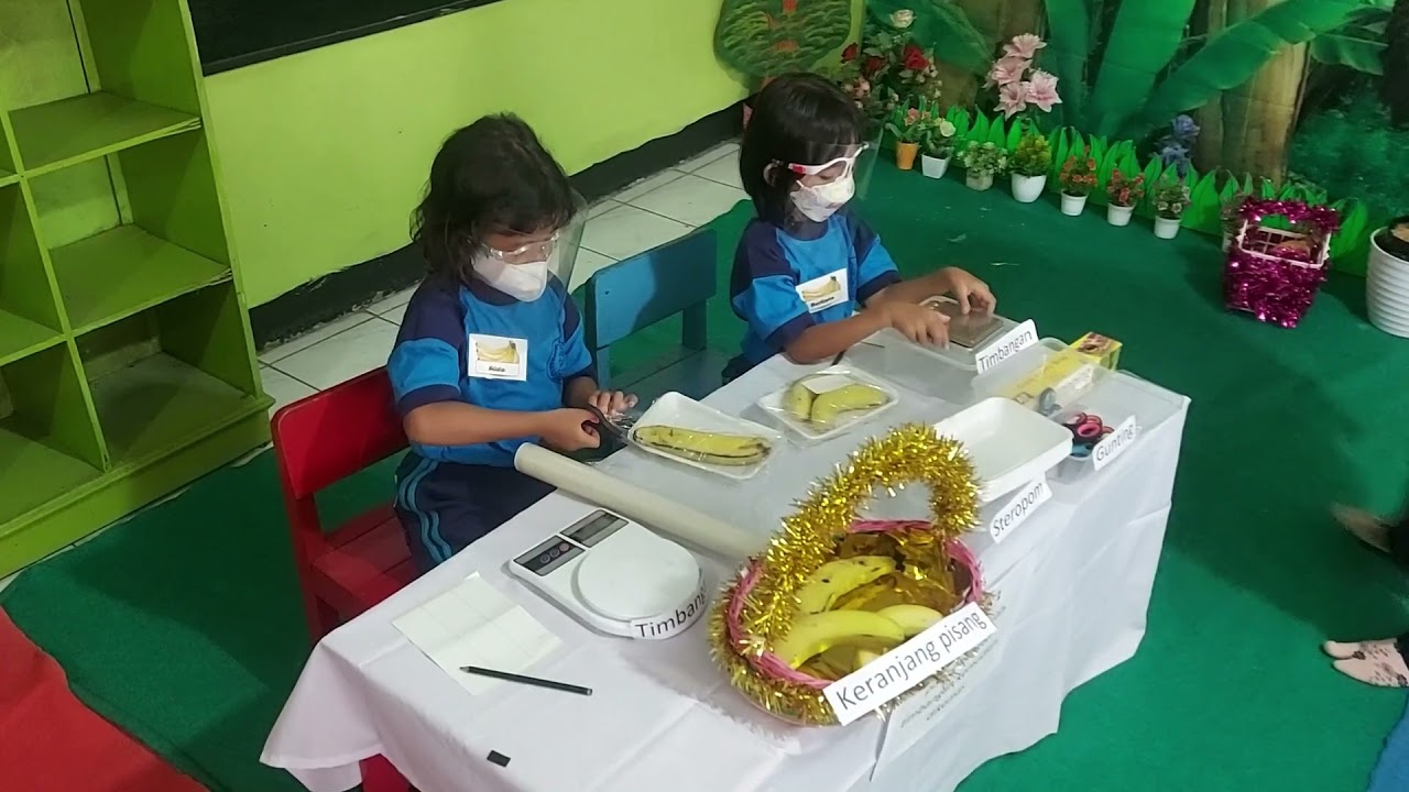 PPL 2 Edit 15 menit,Tema Tanaman Sub Tema Pohon Pisang (Bagian-bagian pohon pisang)