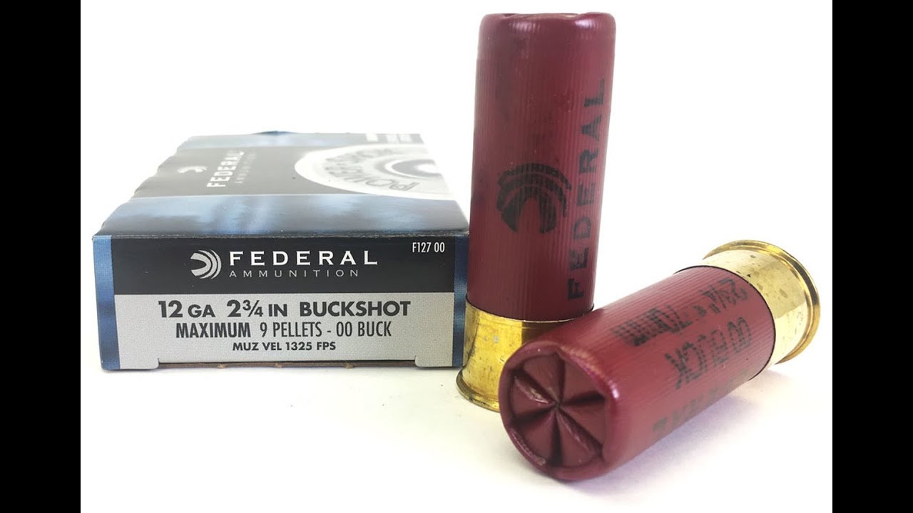 香港Escape from Tarkov － SCAV散彈Buckshot永遠最強 YouTube