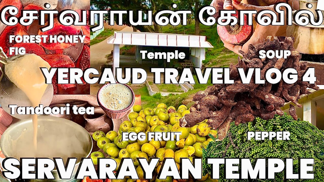 சென்னை to ஏற்காடு பயணம் SERVARAYAN TEMPLE சேர்வராயன் கோவில் | CHENNAI to YERCAUD travel vlog 4 #vlog