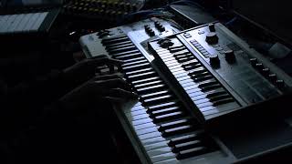 Behringer Wasp on the Road - Mellow It Out
