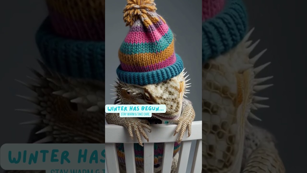 Even dragons feel the chill 🐉❄️| Winter Message | 