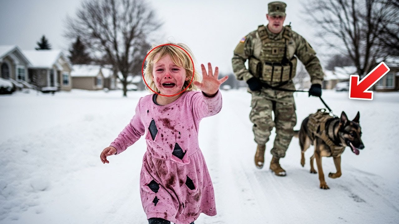 K9-Hund und Soldat spürten Gefahr, Dann sendete ein 5-Jähriger ein stilles SOS, das alles veränderte