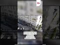 Крестного отца Камчи Кольбаева Азима Роя (Орозахуна Сайдазимова) объявили в розыск