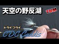 【天空の野反湖】ドライフライ🐜CDCカディス🐜DRY FLY