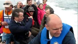 Observação da Avifauna em Viana do Castelo