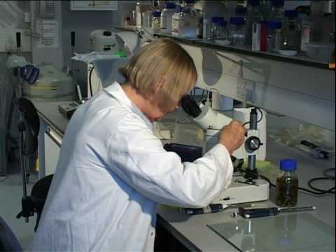 Saving the DNA and the viable cells of the world's endangered animals