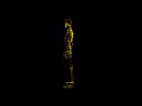 Skeleton Hologram Stock Motion Graphics