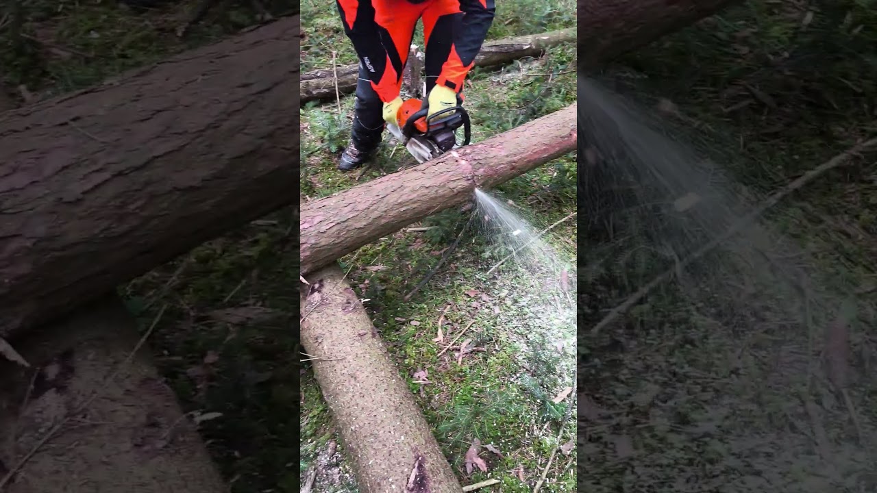 Glück gehabt... Spannung leicht gewesen... Schnittfolge sonst erst oben dann unten 