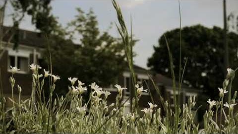 DIY Motion Timelapse Dolly system - Canon 7D