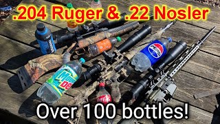 Fun with 204 Ruger & 22 Nosler 100+ Reactive Targets