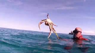 Crystal Clear Dive In Bahamas Exumas Catamaran One Life