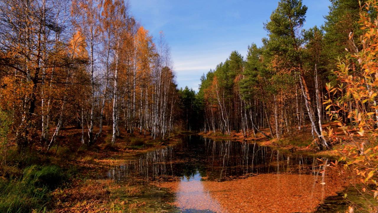 скачать осень на рабочий стол-картинку