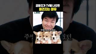 강아지가 버려지는 황당한 이유..