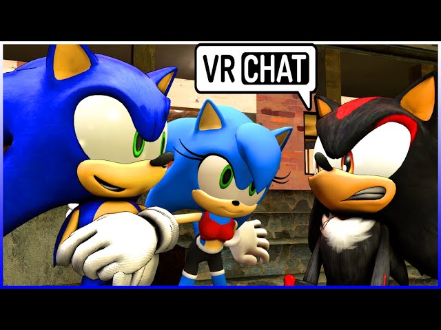 Sonic, Shadow & Silver Go To The Beach (VR Chat) 