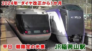 JR稲荷山駅　平日朝　ダイヤ改正で実現　特急信州1号が運転停車しJR東海車両の特急しなのが高速通過　付近の桜は桜吹雪