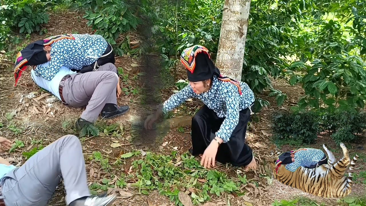 PHIM // THỨ MẸT XỪA,TUYỂN TẬP.