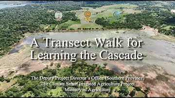 A Transect Walk for Learning the Cascade in SP