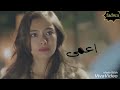 هاني شاكر تقدر تقول