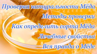 Проверка натуральности мёда Методы проверки Как проверить качество мёда в домашних условиях Лечение