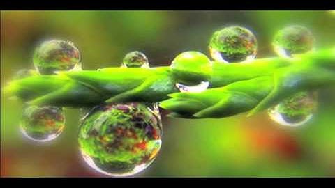 BlurryLenses - Bubble Fusion