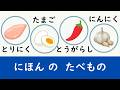 100 Common Foods You Can Find at a Supermarket: Build your Japanese Vocabulary!