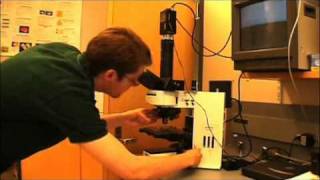 STARS Undergraduate Summer Research Program