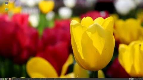 Linux Mint Mate 20 Beta Quick Look (No Music)