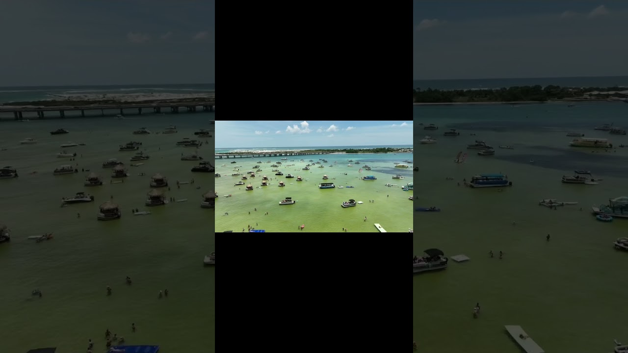 This thing is amazing. 