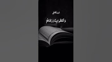 إِنَّ الَّذِينَ يَتْلُونَ كِتَابَ اللَّهِ || سورة فاطر || عبد الباسط عبد الصمد