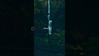 Download Lagu Duniya bhula ke tumse mila hoon ❣️ Gerua full screen lyrics status 💞 feel this song 💘 MP3