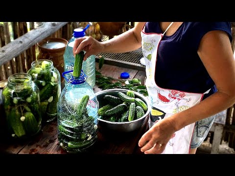 Video: How To Ferment Delicious Cucumbers Over The Winter