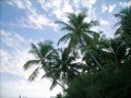 Wish On My Star Written By Jake Shimabukuro Wish On My Star Written By Jake Shimabukuro