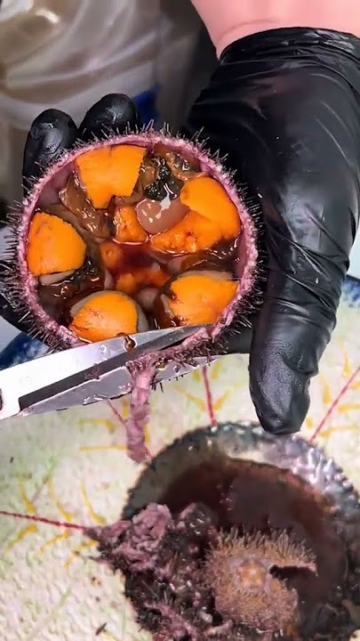 Have you tried Kina? #kina #uni #seaurchin #diving #kai #kaimoana #freediving #seafood #eating #food