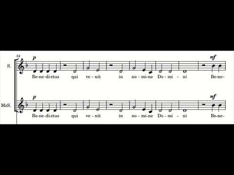 Sanctus, per la santificazione di Carlo Acutis - Celio Vieira Peixoto