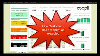 Zoopli Customer Behavior Analytics