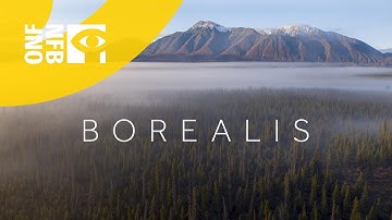 Borealis (Trailer 01m23s)