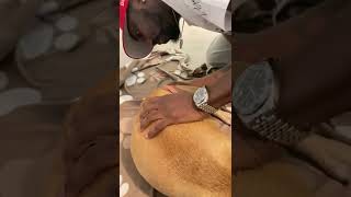 Celebrity Taking The Temperature Of A Pregnant French Bulldog Profile