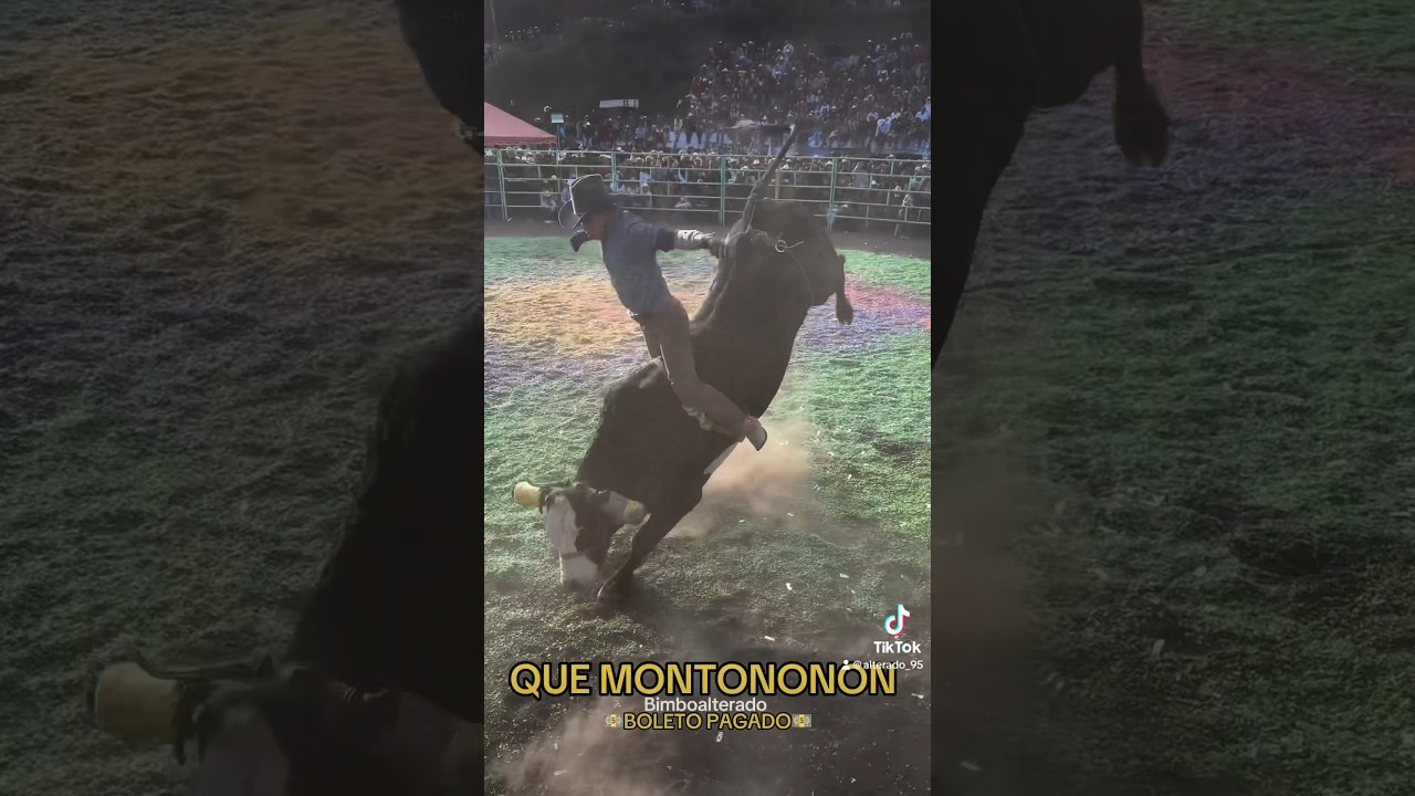 Montononon/se pagó el boleto