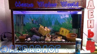 Запуск аквариума - ДЕНЬ 4 / Освещение в аквариуме / Аквавлог