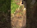 innovation of a simple weeding tool that is suitable for fields #shorts