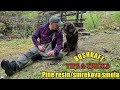 Bushcraft tipspine resin firestartergozdovniki namigsmrekova smola