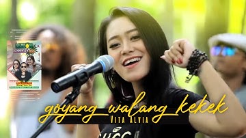 Vita Alvia - Goyang Walang Kekek ( Official Music Video )