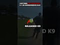 Cop Fired For Unleashing K-9 On Surrendering Man #police #bodycam