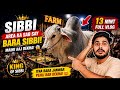 Karachi Ka Sab Say Bara Sibbi Dhoondh Liya 🤯🤯 #faisalalivlogs #foryou