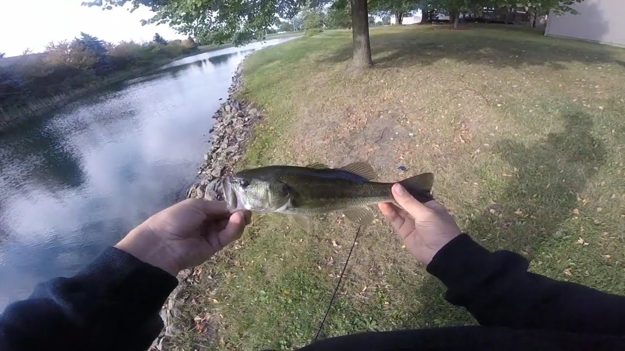 Top 5 Bass Fishing Lakes In Cook County Il \